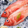 特惠|新西兰深海鱼 红斑鱼马面鱼约400g一条 4条起售 商品缩略图0