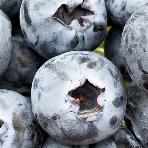 Driscoll's云南蓝莓 |🌹🫐怡颗莓蓝莓新到，品质非常好，甜度高，大颗粒，皮薄无渣肉细腻，味足💙 商品图0