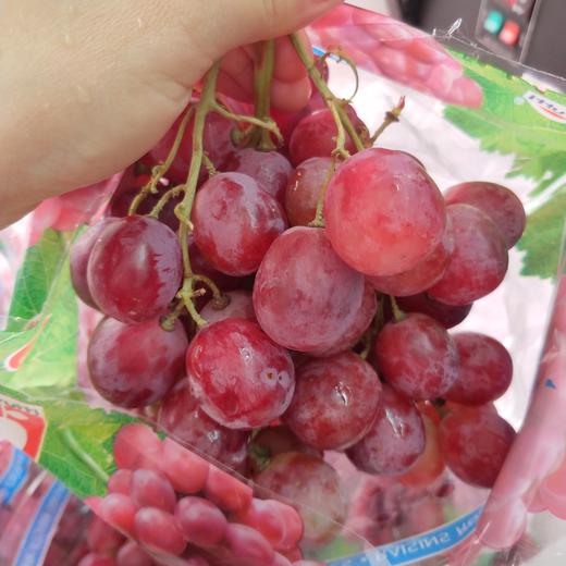 有籽红提 商品图3