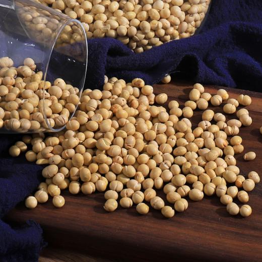 炒黄豆熟即食 雅安农家手工特产散装袋5斤 商品图1