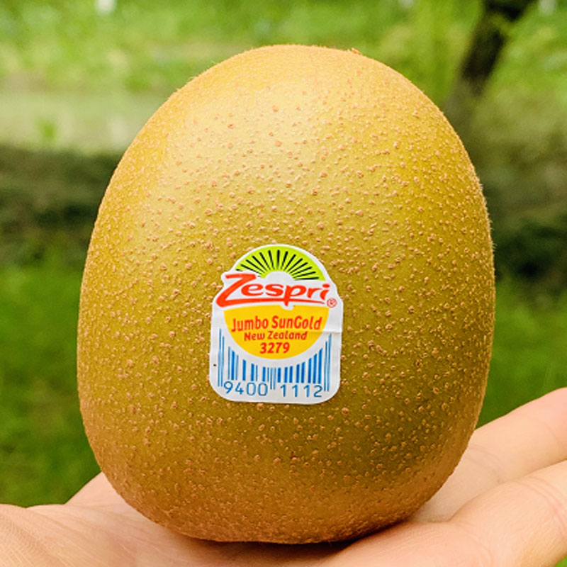 新西兰佳沛黄金果 | 头拨儿新果，精选大果,甜蜜厚肉,太过瘾了!