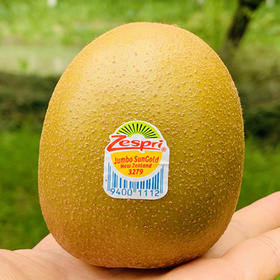 新西兰佳沛黄金果 | 头拨儿新果，精选大果,甜蜜厚肉,太过瘾了!