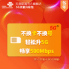 【自动开通】5G升级包 29元/月 10GB国内流量 商品缩略图1