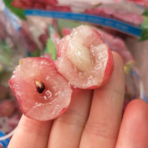 有籽红提 商品图9