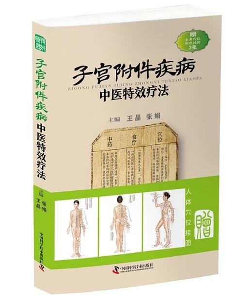 子宫附件疾病中医特xiao疗法 临证用药务求精当，引经据典入古出新 商品图0