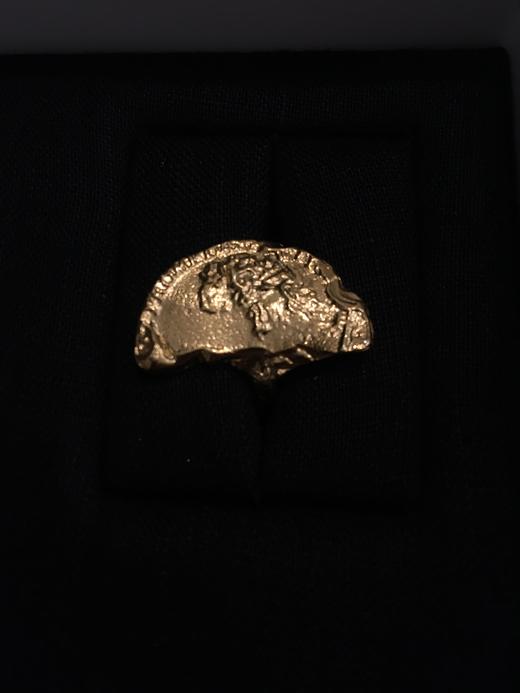 ALIGHIERI IL LEONE RING // CHAPTER I FJ4004 商品图1