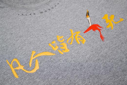 2020新款权力的游戏款电影最TOP周边自制原创纯棉短袖男女T恤 商品图1