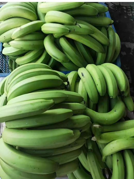 零农残绿香蕉|漳州圆通直发 商品图5