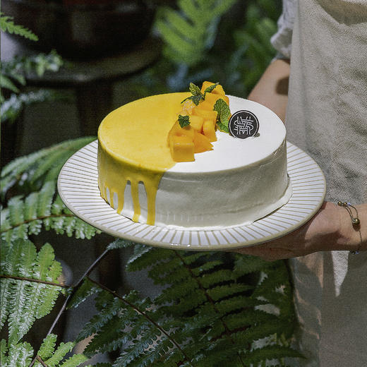 鲜芒雪域淡奶 商品图1