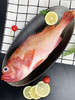 特惠|新西兰深海鱼 红斑鱼马面鱼约400g一条 4条起售 商品缩略图2