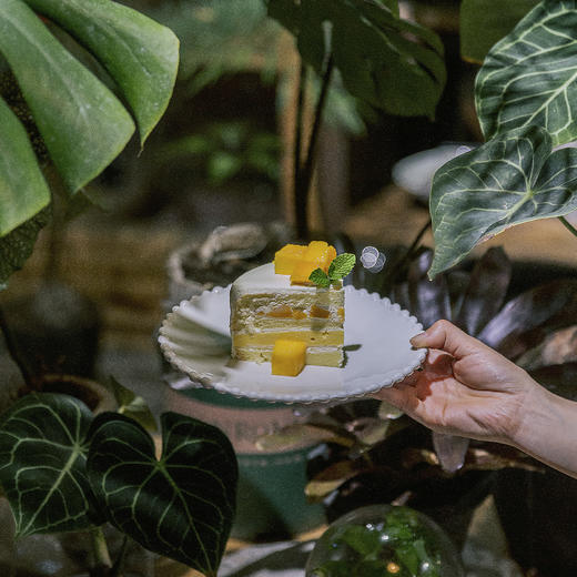 鲜芒雪域淡奶 商品图3