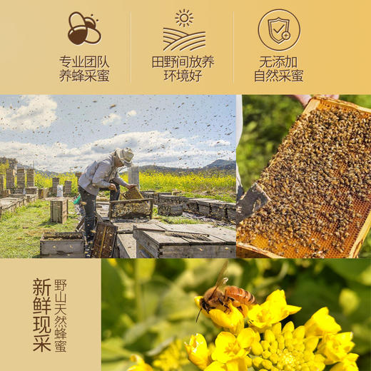 春中宝蜂蜜 支装便携装120g*2支 商品图4