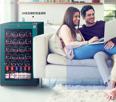 （24瓶装）德国进口压缩机酒柜 商品图1