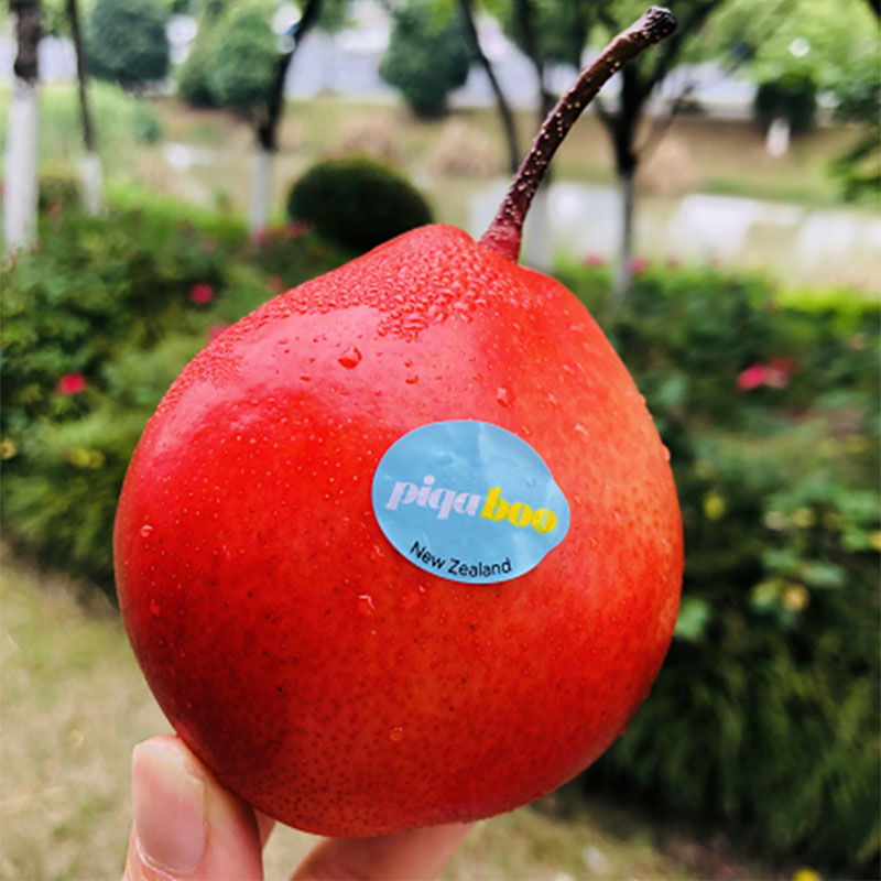 新西兰piqaboo红啤梨  | 很美很仙,飘着桃香,非常细致爽脆,蜜汁汪汪,甜到心窝了!