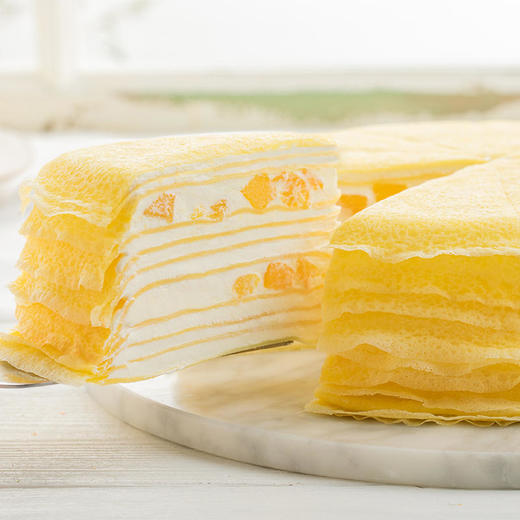 芒果千层 商品图0