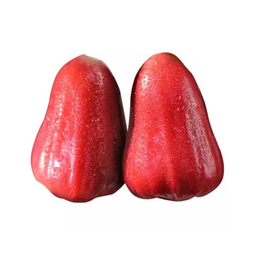 黑金刚莲雾 甜脆水嫩 一口下去全是果汁 - 版纳天天水果