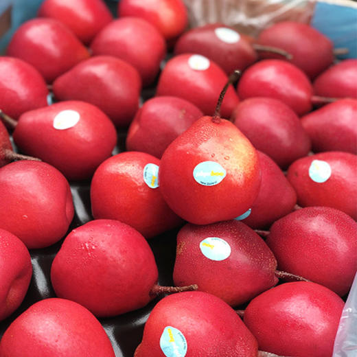 新西兰piqaboo红啤梨  | 很美很仙,飘着桃香,非常细致爽脆,蜜汁汪汪,甜到心窝了! 商品图7