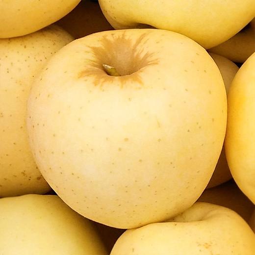 今日秒杀智利黄金苹果8个份智利黄金苹果甜不氧化