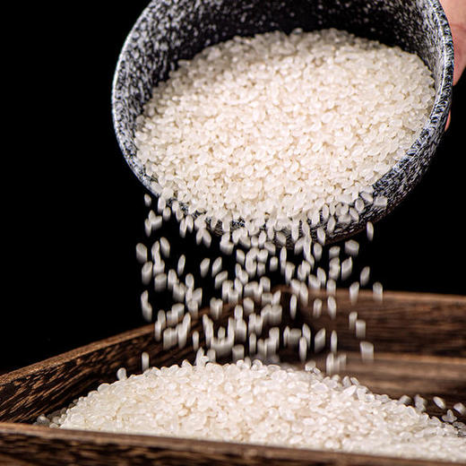 【买一送一】袁蒙海水稻大米，在盐碱地种的米，飘满稻花香 商品图0