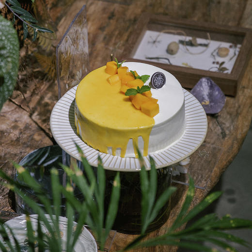 鲜芒雪域淡奶 商品图0