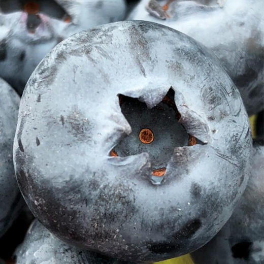 Driscoll's云南蓝莓 |🌹🫐怡颗莓蓝莓新到，品质非常好，甜度高，大颗粒，皮薄无渣肉细腻，味足💙 商品图1