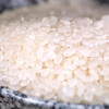 【买一送一】袁蒙海水稻大米，在盐碱地种的米，飘满稻花香 商品缩略图1