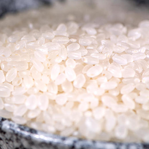 【买一送一】袁蒙海水稻大米，在盐碱地种的米，飘满稻花香 商品图1
