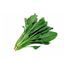 菠菜【把】