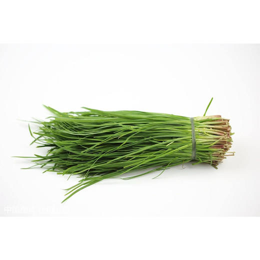 韭菜-份【约280g-300g】 商品图1