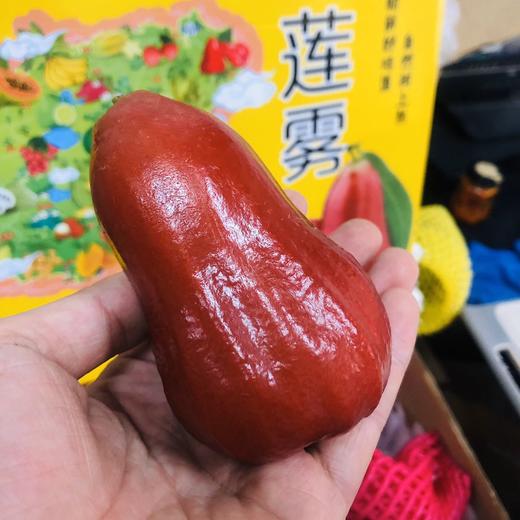 空运莲雾  清甜爽口 补水之王~【3斤装升级版】 商品图0