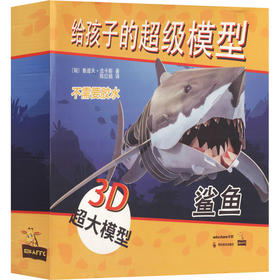给孩子的超级模型 鲨鱼