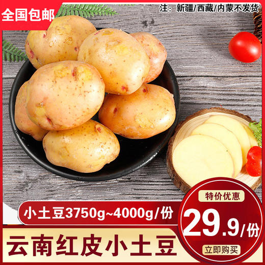云南红皮小土豆7.5斤~8斤装 商品图0