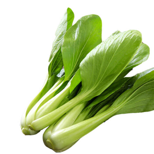 油白菜-把【把】 商品图1
