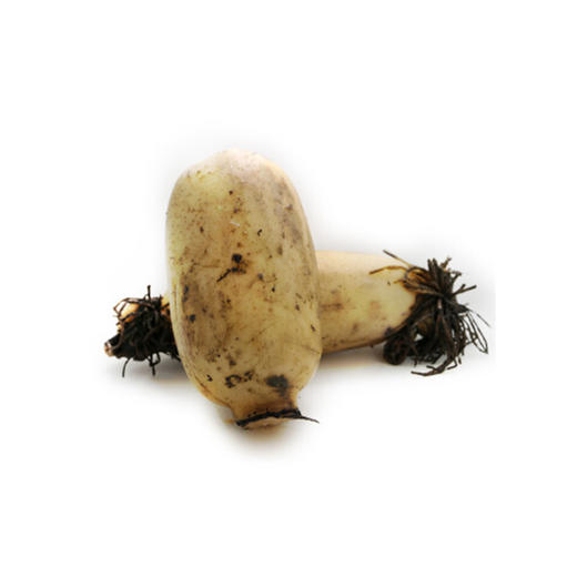 莲藕【约500g-550g】 商品图0