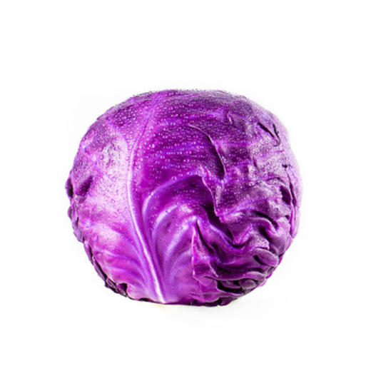 紫莲白【约1500g-1600g】 商品图0