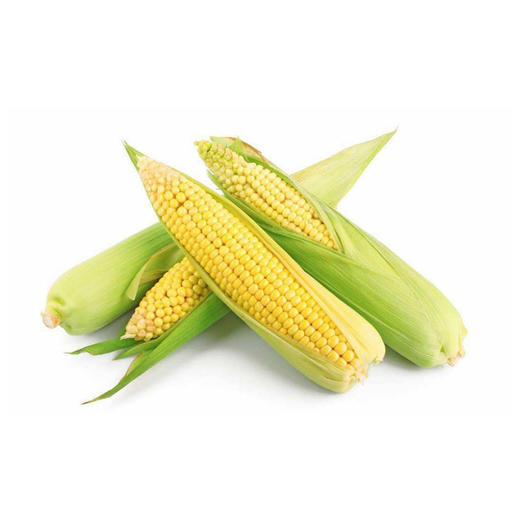 新鲜玉米-份【个】 商品图2