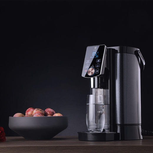 EGTP2010伊莱克斯电热开水瓶 商品图1