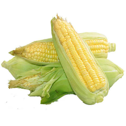 新鲜玉米-份【个】 商品图1