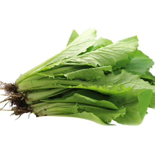 小白菜【约500g】 商品图2