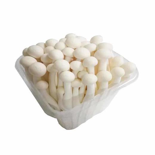 【蔬】白玉菇 150g/袋 商品图1