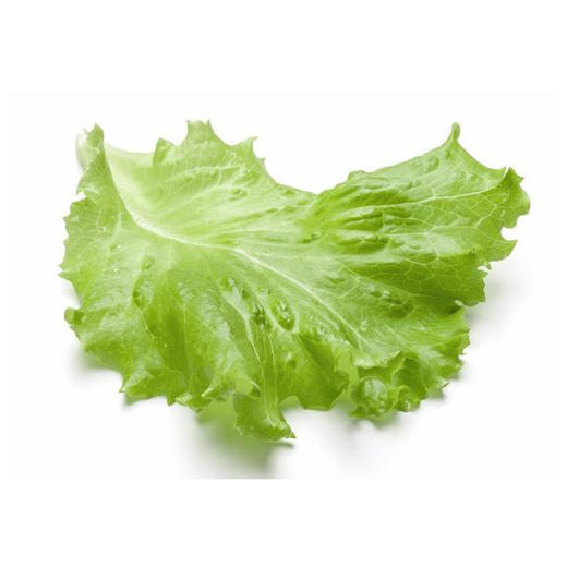 生菜【约450g-500g】 商品图1