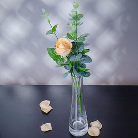 【茶家】【玻璃花器】【60215#】