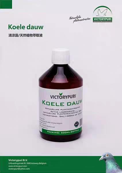 捷普瑞鸽药【清凉露（Koele dauw）】500毫升/捷普瑞清凉露绿色精 商品图0