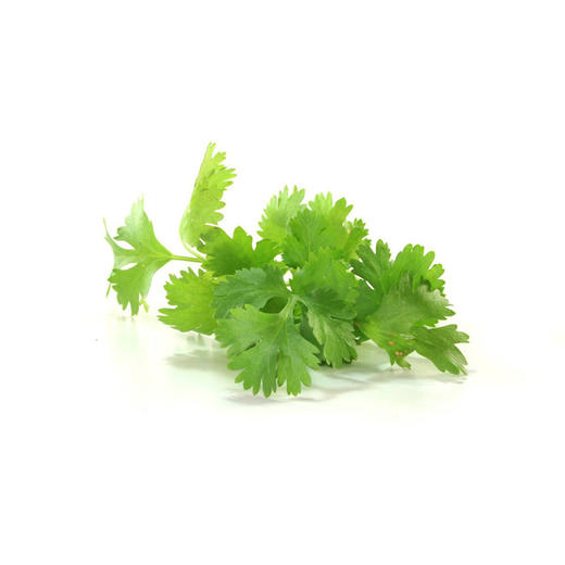 香菜-份【约100g】 商品图2