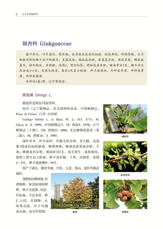 *精选好书半价包邮《辽宁木本植物志》 商品图1