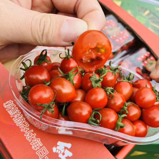玲珑千禧小番茄，肉厚皮薄，咬一口，清甜的果汁马上喷涌而出。浓郁原始又清爽的番茄滋味爽口又怡人～好吃！停不下来！ 商品图7