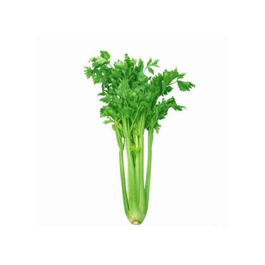青芹菜-把【把】 商品图0