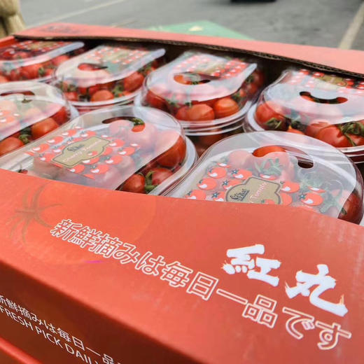 玲珑千禧小番茄，肉厚皮薄，咬一口，清甜的果汁马上喷涌而出。浓郁原始又清爽的番茄滋味爽口又怡人～好吃！停不下来！ 商品图6
