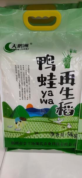 天鹅洲鸭蛙再生稻5KG