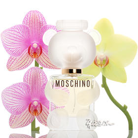 默斯奇诺 泰迪熊 熊二代女士香水 Moschino Toy 小样/正装